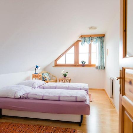 Ferienwohnung Stiegelbauer Fichte Sausal Esterno foto
